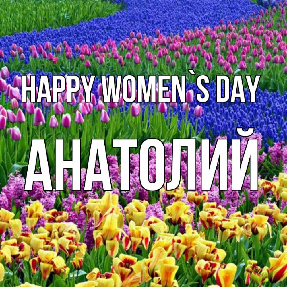 Greetings card с именем, Анатолий happy women`s day цветы Greetings with text for free download 
